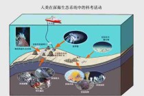 海洋生态系统探秘/海洋生态系统的特点和作用