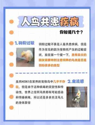 畜牧疾病防治方法/畜禽常见病防治知识