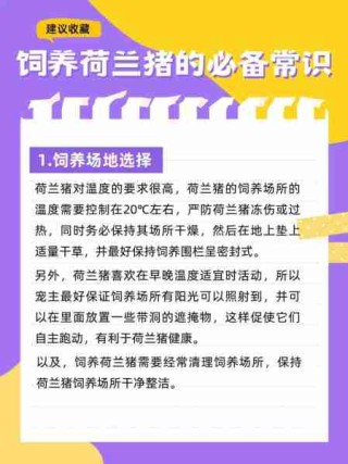 畜牧养殖实用技巧/畜牧养殖怎么养