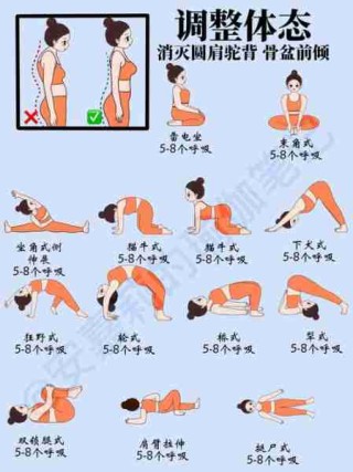 瑜伽入门基础动作/瑜伽入门基本动作全套