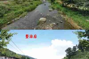 农村环境治理方法/农村环境治理方法有哪些