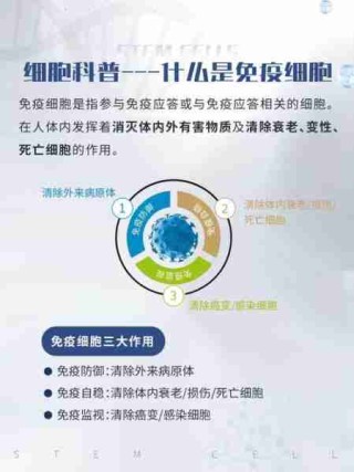 人体免疫系统揭秘/人体免疫系统简介