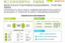 农村电商发展模式/农村电商发展战略