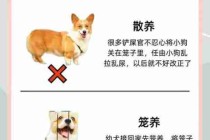 宠物饲养实用技巧/宠物饲养实用技巧有哪些