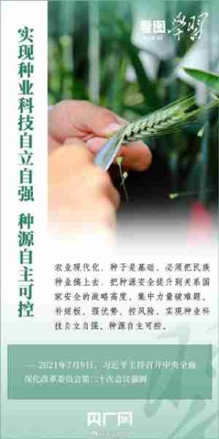 现代农业种植技术/现代农业种植技术七字句子