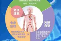 人体免疫系统揭秘/人体免疫系统有多强大知乎