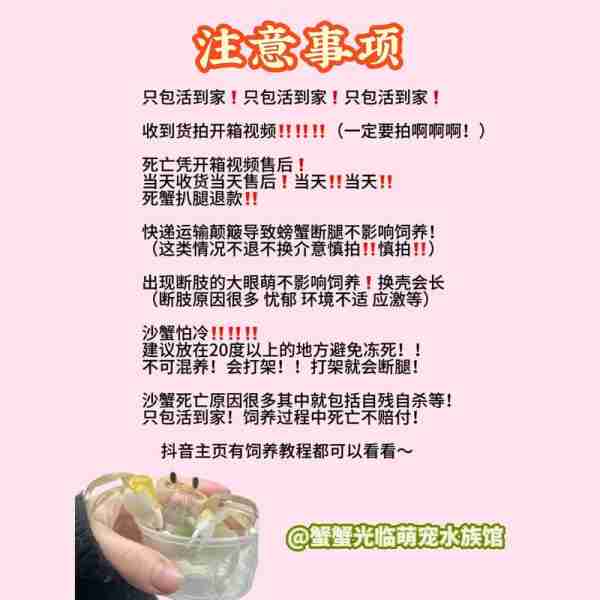 宠物饲养实用技巧/宠物饲养实用技巧有哪些