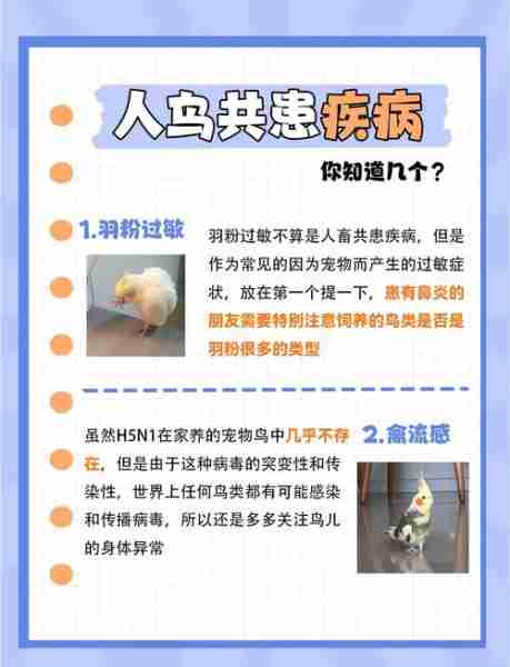 畜牧疾病防治方法/畜禽常见病防治知识