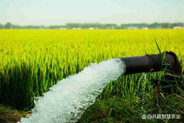 农田水利建设意义/农田水利建设包括哪些