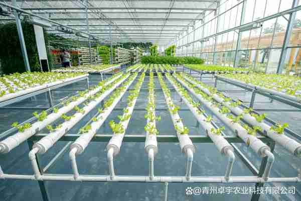 现代农业种植技术/现代农业种植技术有哪些